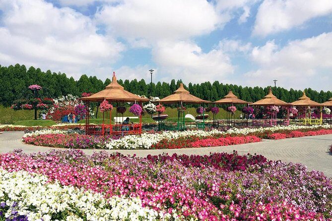 Dubai Miracle Garden Self-Guided Tour with Ticket with Transfer - The Value Proposition