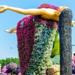 Dubai Miracle Garden Ticket with Dubai City Tour - Who Would Love This Tour?