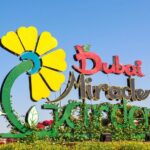 Dubai Miracle Garden Ticket with Transfer - What Do Reviewers Say?
