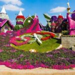 Dubai Miracle Garden Tickets with Round Trip Transfer - The Sum Up