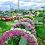 Dubai Miracle Garden with private round trip transfers - Value for Money and Practical Considerations
