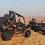 Dubai Morning Buggy Dunes Safari with Sandboarding & Camel Ride - The Logistics and Value