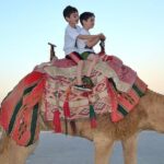 Dubai: Morning Desert Safari - Practical Tips for Your Tour