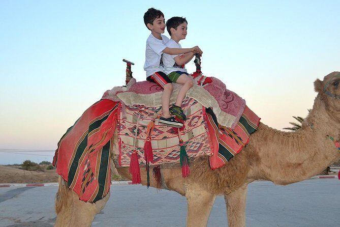 Dubai: Morning Desert Safari - Practical Tips for Your Tour