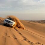 Dubai Morning Desert Safari Red Dune Camel Falcon & Sandboarding - Transportation and Logistics