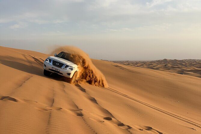 Dubai Morning Desert Safari Red Dune Camel Falcon & Sandboarding - Transportation and Logistics
