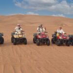 Dubai Morning Desert Safari Sand Boarding & Camel Ride ( jeep) - The Experience with Falcon Tourism