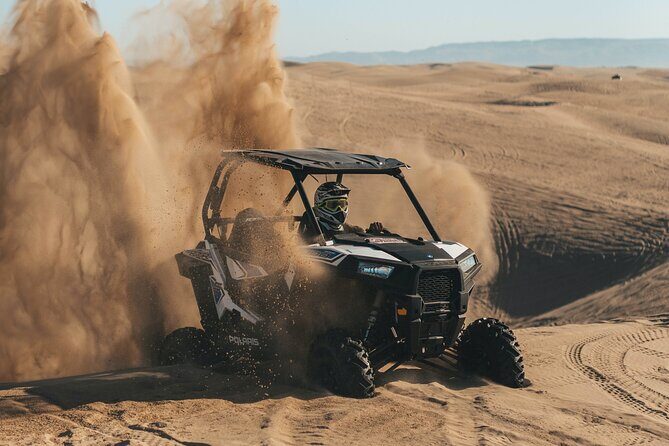 Dubai Morning Desert Safari - Who is This Tour Perfect For?