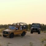Dubai: Morning Heritage Safari by Vintage G Class & Al Marmoom Oasis - What Travelers Are Saying