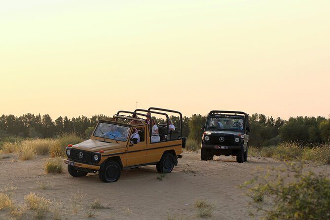 Dubai: Morning Heritage Safari by Vintage G Class & Al Marmoom Oasis - What Travelers Are Saying