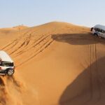Dubai Morning Safari Adventure - Practical Details and What to Expect