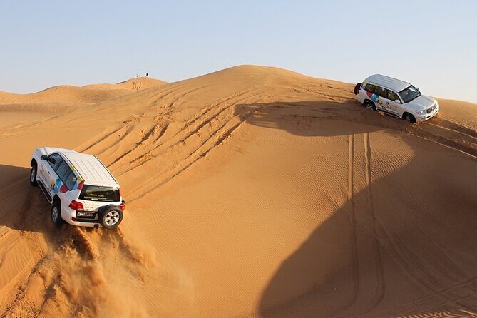 Dubai Morning Safari Adventure - Practical Details and What to Expect