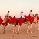 Dubai Premium Desert Safari Red Duns Camel sandbord & Premium BBQ - What Sets This Tour Apart?