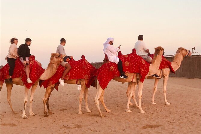 Dubai Premium Desert Safari Red Duns Camel sandbord & Premium BBQ - What Sets This Tour Apart?
