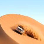 Dubai Premium Red Dunes Safari Camel Ride and BBQ Dinner - What Could Be Better?