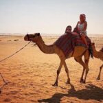 Dubai Private Morning Desert Safari with Camel Ride - Who Will Love This Tour?