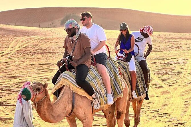 Dubai Red Desert Safari sharing basis with Camel, Shows & Dinner - FAQs
