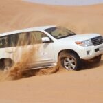 Dubai Red Dune Extreme Desert Safari Adventure With Sand Boarding - The Authenticity and Review Insights