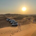 Dubai Red Dunes Afternoon Desert Safari with Camel Ride - Who Would Love This Tour?