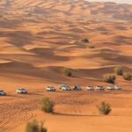 Dubai Red Dunes ATV, Camels, Stargazing & 5* BBQ - What Could Be Better
