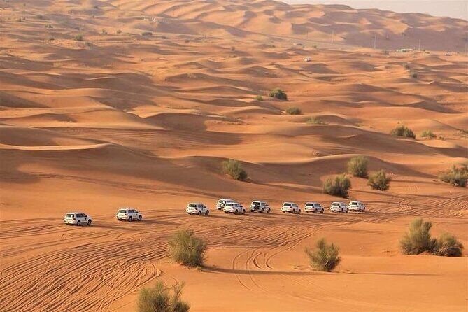 Dubai Red Dunes ATV, Camels, Stargazing & 5* BBQ - What Could Be Better