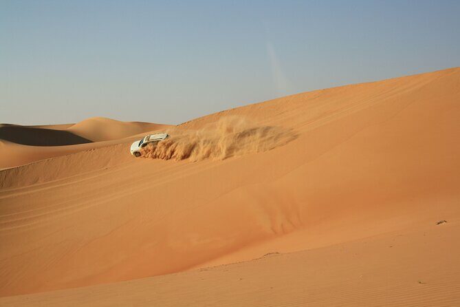 Dubai Red Dunes Desert Morning Adventure - What Travelers Say: Authentic Insights from Reviews