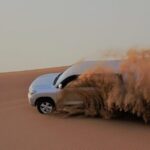 Dubai Red Dunes Morning Safari With Camel Ride - The Camel Ride and Farm Visit