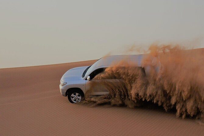 Dubai Red Dunes Morning Safari With Camel Ride - The Camel Ride and Farm Visit