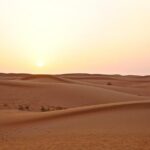 Dubai Red Dunes Safari by Quad Bike, Sand boarding, Camel Ride & BBQ Dinner - Who Would Love This Tour?