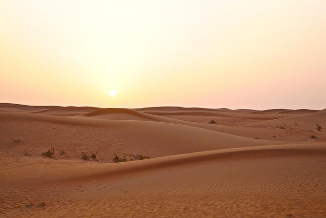 Dubai Red Dunes Safari by Quad Bike, Sand boarding, Camel Ride & BBQ Dinner - Who Would Love This Tour?