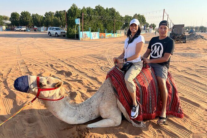 Dubai Red Dunes Safari, Camels, Live BBQ and Live Shows - The Sum Up