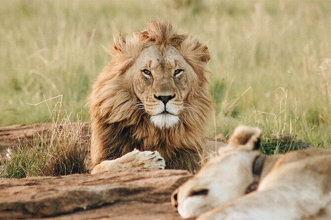 Dubai Safari Park Tickets with Options - Booking and Entry: How It Works