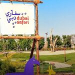 Dubai Safari Park With Transfer - The Itinerary Breakdown