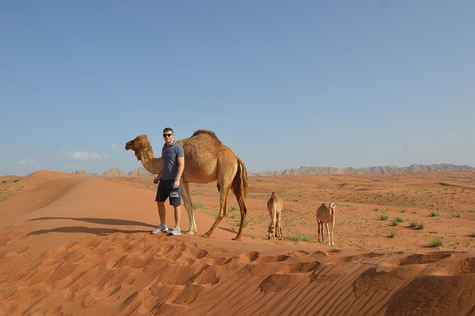 Dubai Self-Drive 4WD Desert and Dune Bash Safari - Guides and Safety