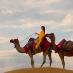 Dubai Self-drive Quad Bike, Sand Boarding, Camels & Refreshments - Practical Tips for Your Desert Adventure