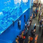 Dubai Standard Trio Package - FAQs