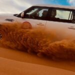 Dubai Sunrise Desert Safari Red Dune Camel Falcon & Sandboarding - Final Thoughts: Who Should Consider This Tour?