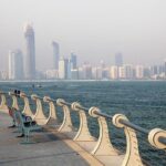 Dubai to Abu Dhabi Day Trip: Grand Mosque, Palace & Etihad Towers - The Practicalities: What to Expect