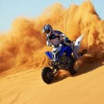 Dubai Trio: Desert Safari, ,Dubai City Tour & Dhow Cruise Dinner - Authentic Insights from Reviewers