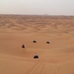 Dubai: Unique MORNING Quad Bike Red Dunes Safari - What the Tour Includes and Excludes