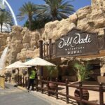 Dubai Wild Wadi Water Park Admission Ticket - Authentic Insights from Reviewers