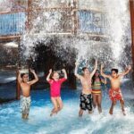 Dubai Wild Wadi Water Park tickets with optional transport - What Makes Wild Wadi Water Park Special?
