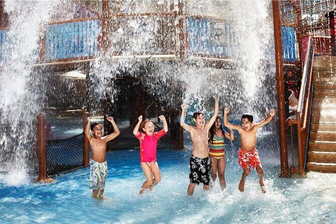 Dubai Wild Wadi Water Park - The Experience: What You’ll Really Encounter