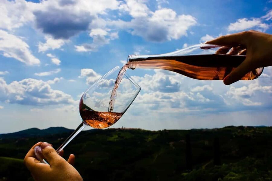 Dubrovnik Private Panorama & Wine Tasting Tour - The Personalized Itinerary and Flexibility
