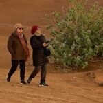 DUNE BASHING - Desert Safari, The Heartbeat of Dubai! - Why This Tour Offers Great Value