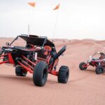 Dune Buggy Experience and Dinner at Mleiha Archaeological Center - Who Is This Tour Best Suited For?