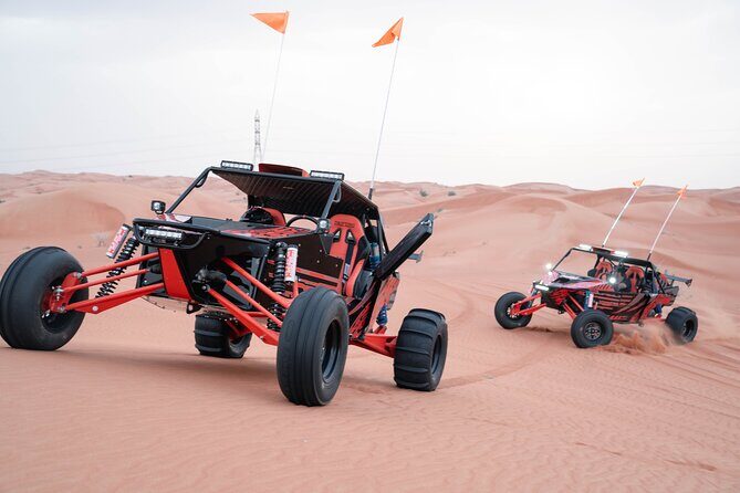 Dune Buggy Experience and Dinner at Mleiha Archaeological Center - Who Is This Tour Best Suited For?
