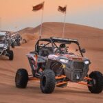 Dune Buggy Tour In Dubai With Private Pickup and Drop Off - Why Choose This Tour?