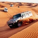Dune Safari with 4X4 Car and BBQ Dinner - Practical Details: Transportation, Duration, and Cost