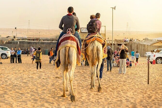 DuneBashing, CamelRide & ATV Bike Desert Safari Experince in Doha - The Itinerary, Broken Down